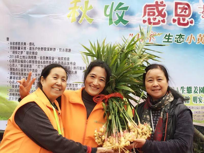 2018年心法农业 福田心耕之明德CSA生态姜园七不小黄薑春耕喜乐开锄感恩节 邀请函 2018年心法农业 福田心耕之明德CSA生态姜园七不小黄薑春耕喜乐开锄感恩节 邀请函