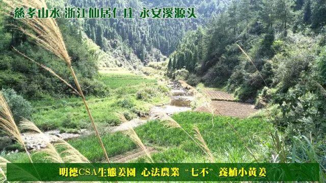 原始点良心姜销售员推广计划，无任何成本即可成为心法农业 “七不”小黄姜的销售员，一起分享收获的喜悦。