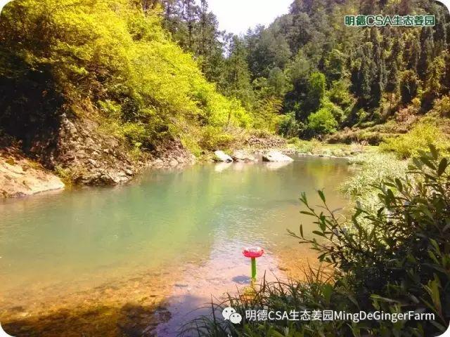 醫与汤药