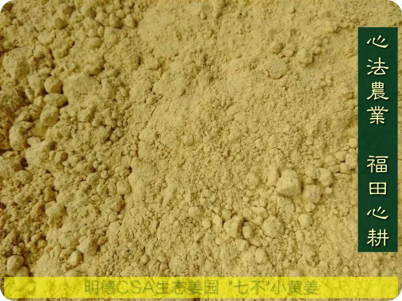 团购特级袋泡七不小黄姜薑粉60包盒装。每包5克一级品小袋泡