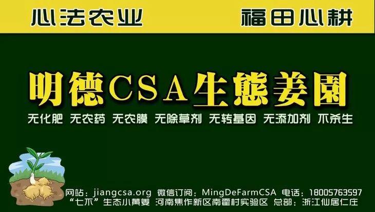 提前订购预售特惠 2019年原始点药用‘七不’小黄姜干姜片1斤 包邮 明德生态姜园心法农业恭制