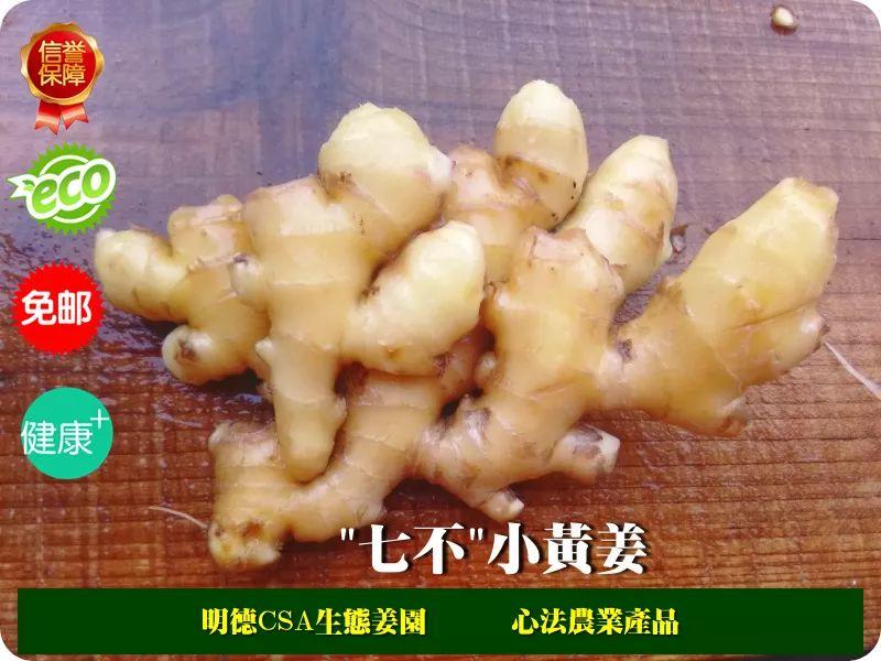 团购 2018.315特制原始点药用‘七不’小黄姜干姜片1斤 包邮 明德生态姜园心法农业恭制