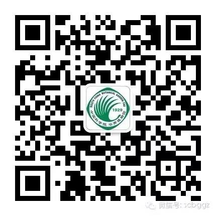 四月姜园 醉美姜花 四月姜园 醉美姜花