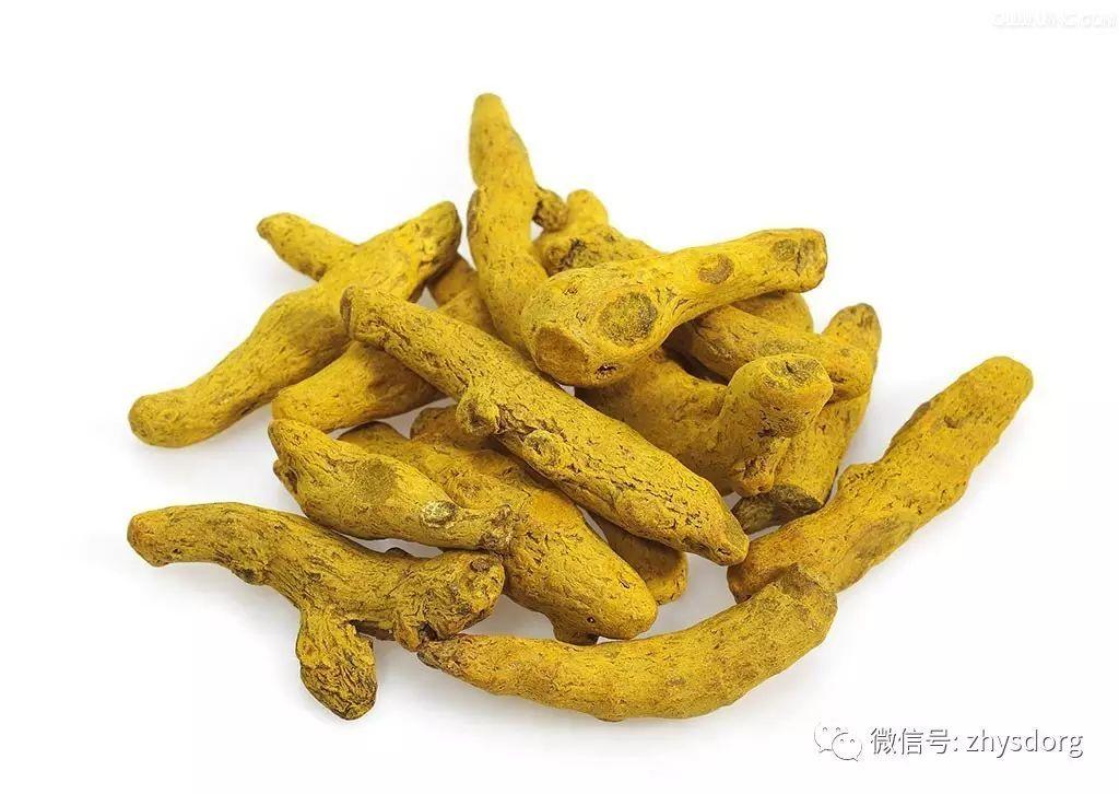 你了解原始点内热源 姜(薑)的种类和应用吗? 你了解原始点内热源 姜(薑)的种类和应用吗?