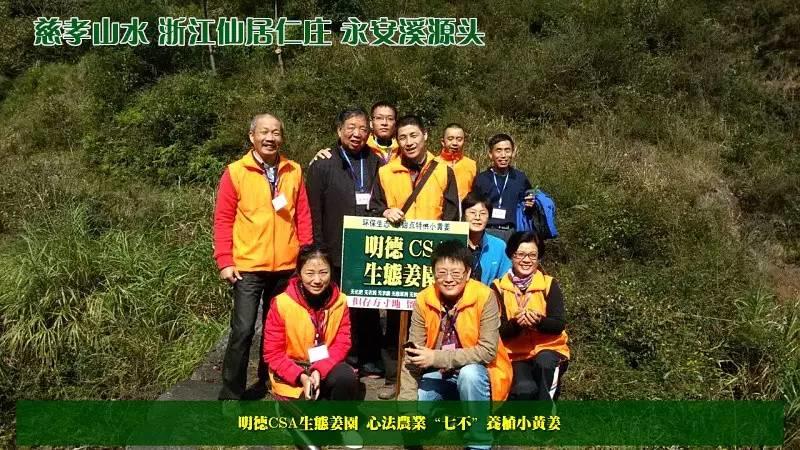 心法农业明德小黄姜 介绍 2016