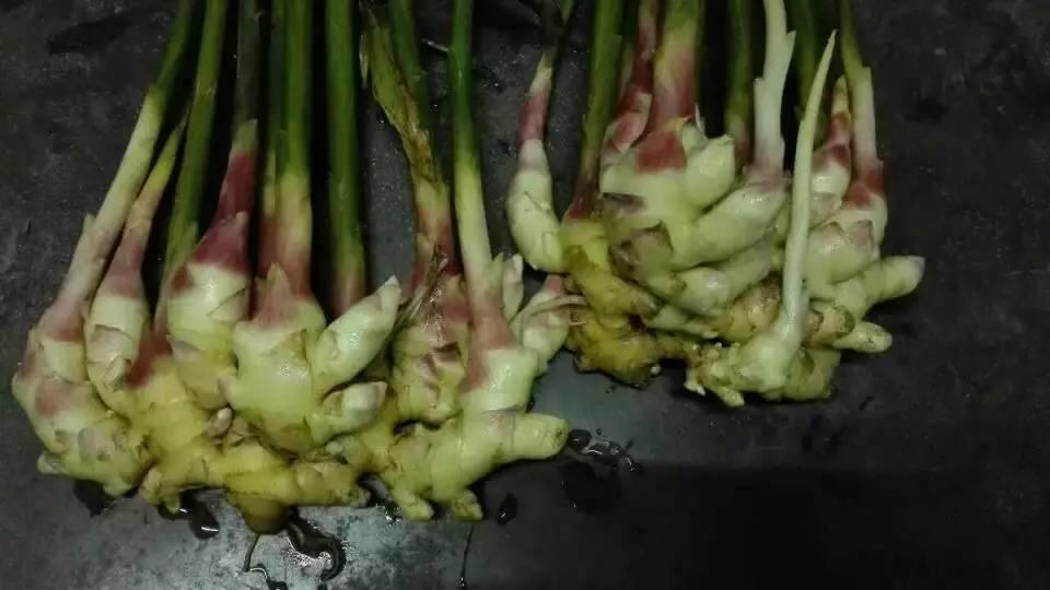 原始点人的美味泡姜做法