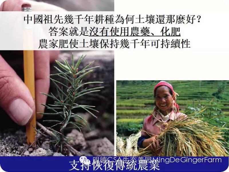 农药、化肥、激素给人类的环境带来巨大的危害！