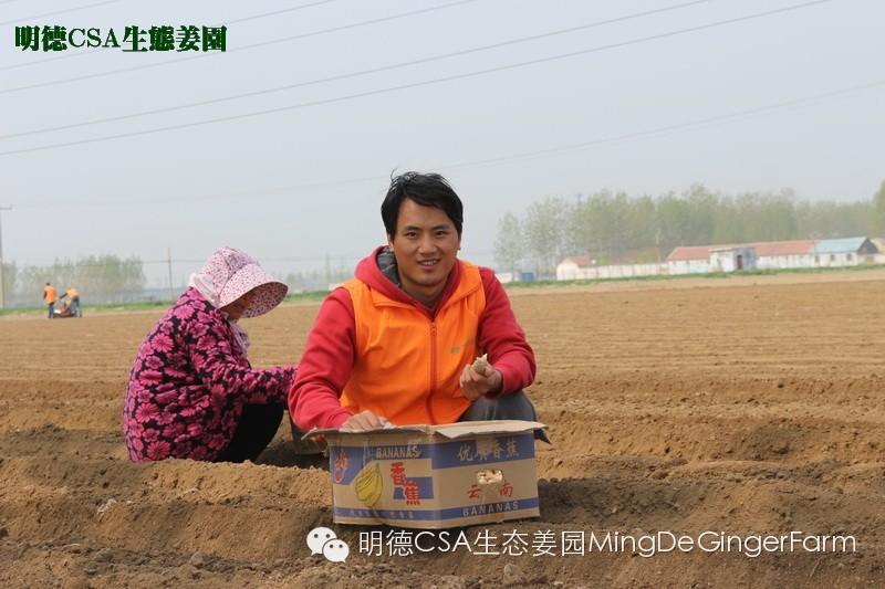 明德CSA生态姜园4月新入股东介绍原始点志愿者 慕胜亮 明德CSA生态姜园4月新入股东介绍原始点志愿者 慕胜亮