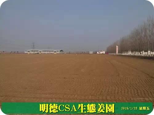 东方圣城 首善之地 至善小黄姜 4月开种活动预报 东方圣城 首善之地 至善小黄姜 4月开种活动预报