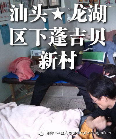 透明溯源CSA及PGS姜园发起股东及创业团队