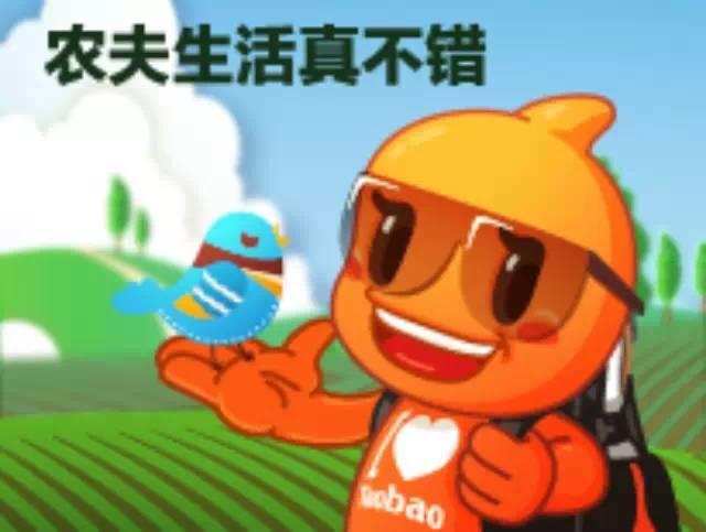 生态姜园CSA及PGS农业模式介绍-七不姜 生姜养生网-明德CSA生态姜园&明安农业