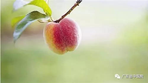 夏至养生要点，中医专家话你知