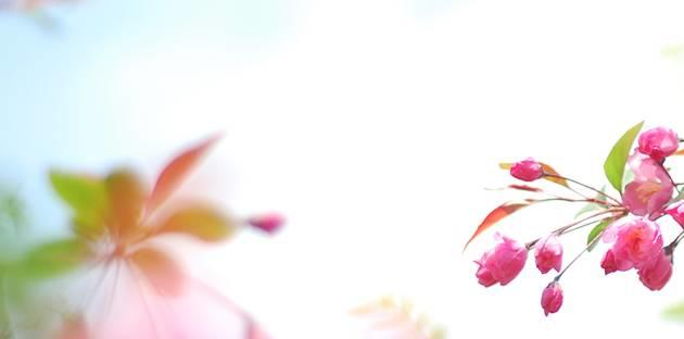 夏吃姜,胜参汤! 夏吃姜,胜参汤!