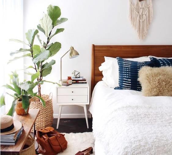 姜的世界，你还不懂