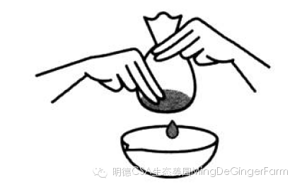 生姜养生法(7)石原式 “生姜红茶”-自然医学养生 生姜养生法(7)石原式 “生姜红茶”-自然医学养生