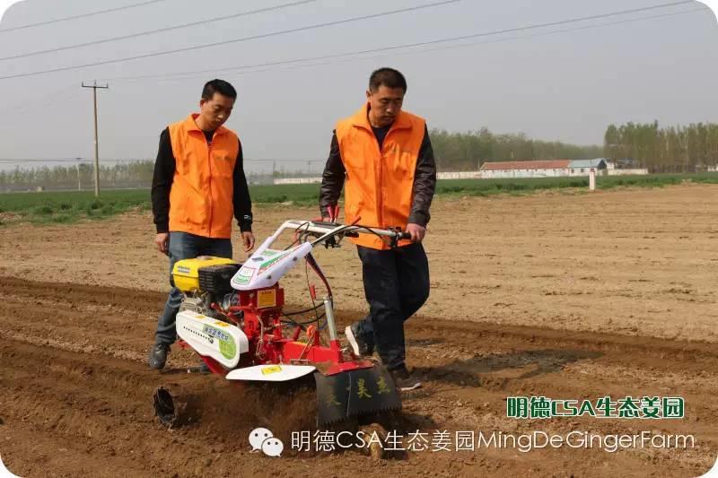 明德CSA生态姜园5月新入股东介绍 原始点志愿者 牛焕义