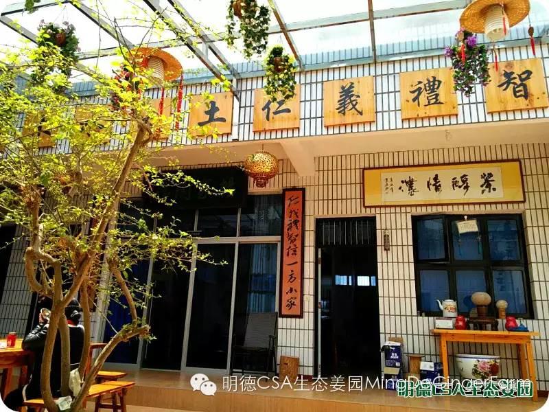 明德CSA生态姜园 浙江仙居仁庄村“七不”小黄姜基地介绍