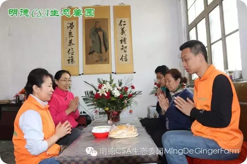 寻找姜园合伙人股东，一起建设原始点特供小黄姜生态姜园