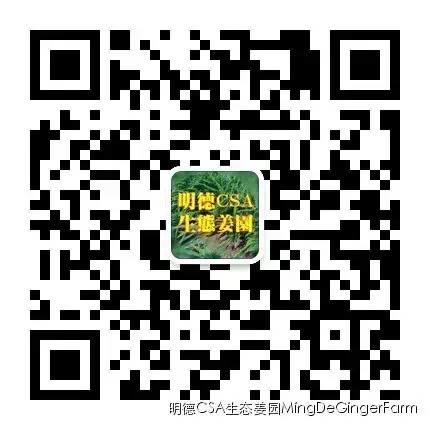 寻找姜园合伙人股东，一起建设原始点特供小黄姜生态姜园