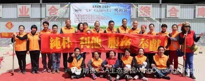 姜园5月新入股东王丽华 介绍。感恩纯朴 利他 服务 奉献的82岁的呼和浩特原始点志愿者!-七不姜 生姜养生网-明德CSA生态姜园&明安农业