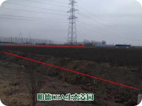 CSA生态姜园的选址：东方圣城曲阜姚村镇现代农业科技示范园