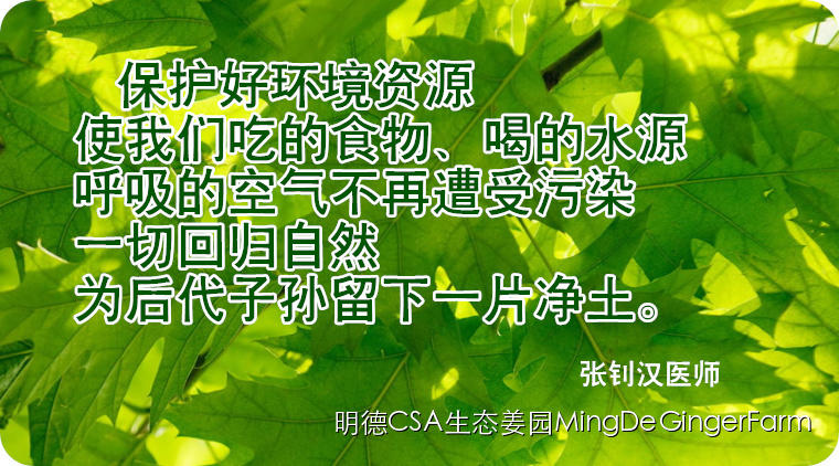 寻找姜园合伙人，邀您一起建设原始点原生态小黄姜农场