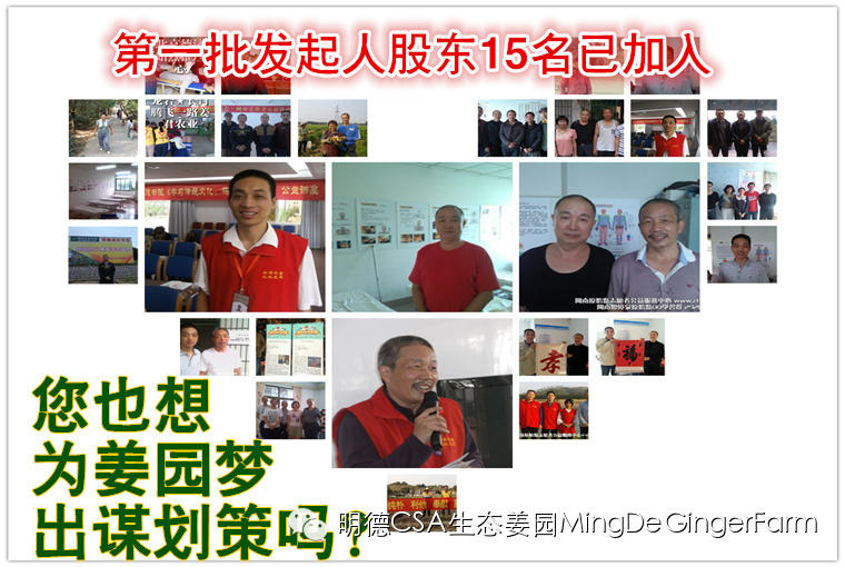 寻找姜园合伙人，邀您一起建设原始点原生态小黄姜农场
