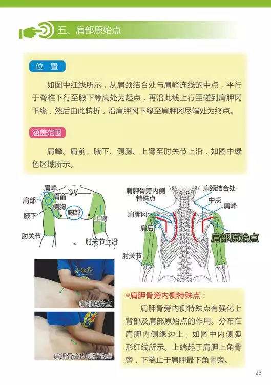 原始点医学手册 电子版(2018年8月第十三版) 原始点医学手册 电子版(2018年8月第十三版)