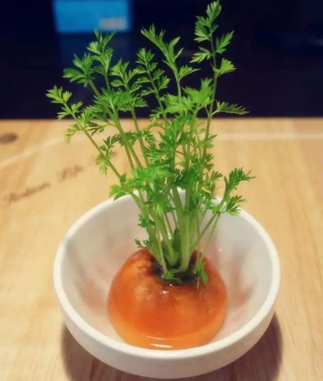 生姜就是“富贵竹”,拿剩菜做盆栽,美爆了 生姜就是“富贵竹”,拿剩菜做盆栽,美爆了