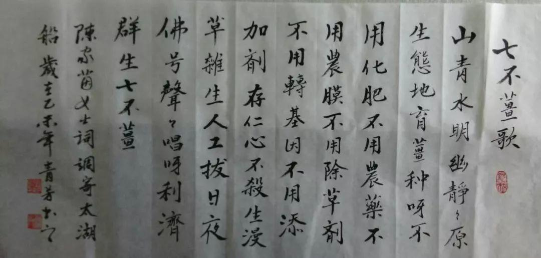 明安'七不'小黄姜 2018姜种1斤 心法农业明德姜园精选培育三代2017年留纯种