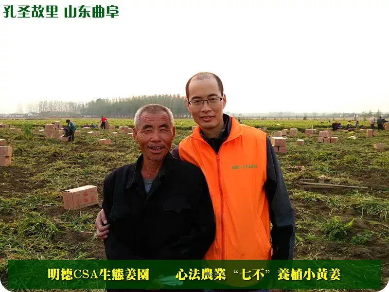 团购 2018.315特制原始点药用‘七不’小黄姜干姜片1斤 包邮 明德生态姜园心法农业恭制