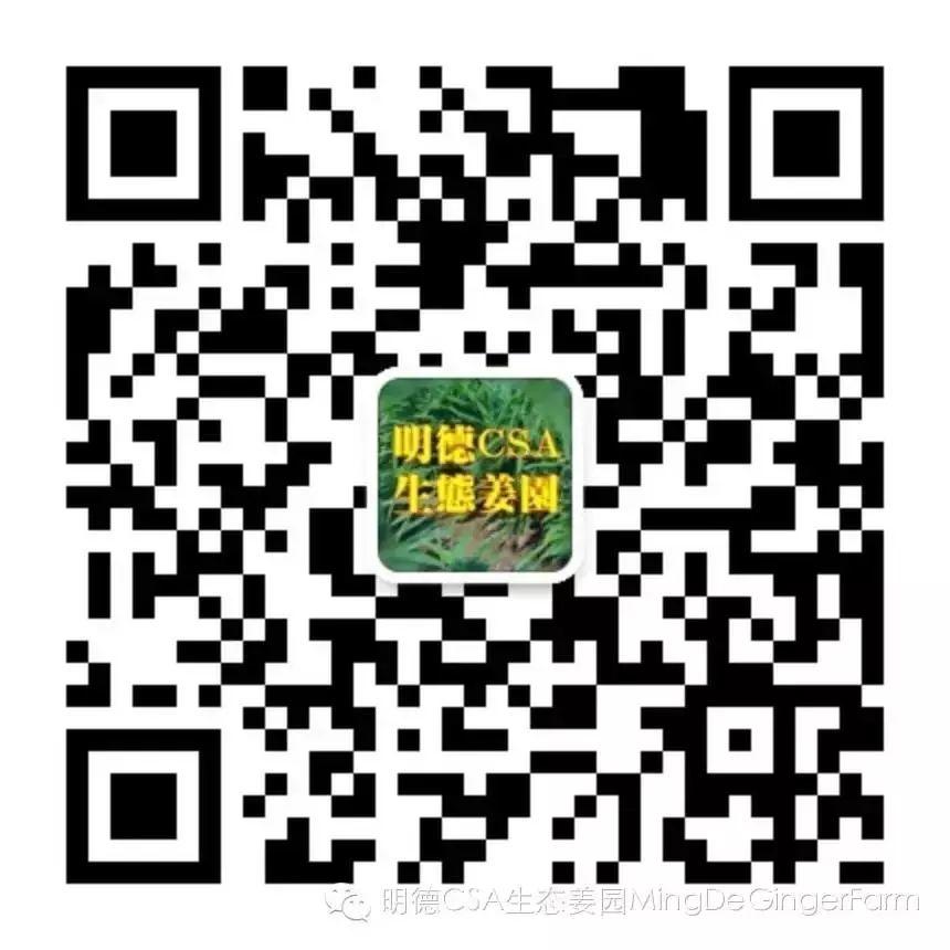 暖意香料丨一小块就能驱走寒意，冬天更爱姜