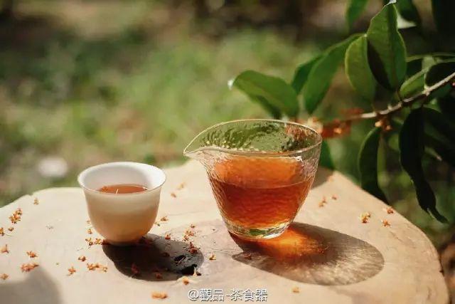 这家咖啡店不卖咖啡，敢给客人生吃生姜，却引来各路女神打卡，连陈奕迅老婆都到门口街拍