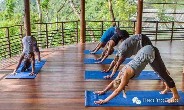 旅行 | 这大概是世界上将生姜演绎的最出神入化的酒店