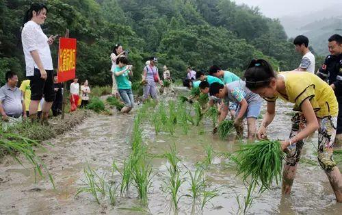 【国学夏令营(一)】 一耕一读,养心立志! 【国学夏令营(一)】 一耕一读,养心立志!
