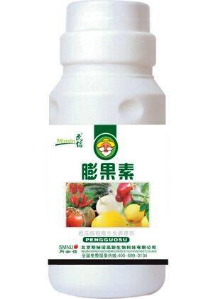 嫩薑、子薑美观可口。民众很喜欢品尝。大家看完此文就不敢再吃了!知道为什么吗? 嫩薑、子薑美观可口。民众很喜欢品尝。大家看完此文就不敢再吃了!知道为什么吗?