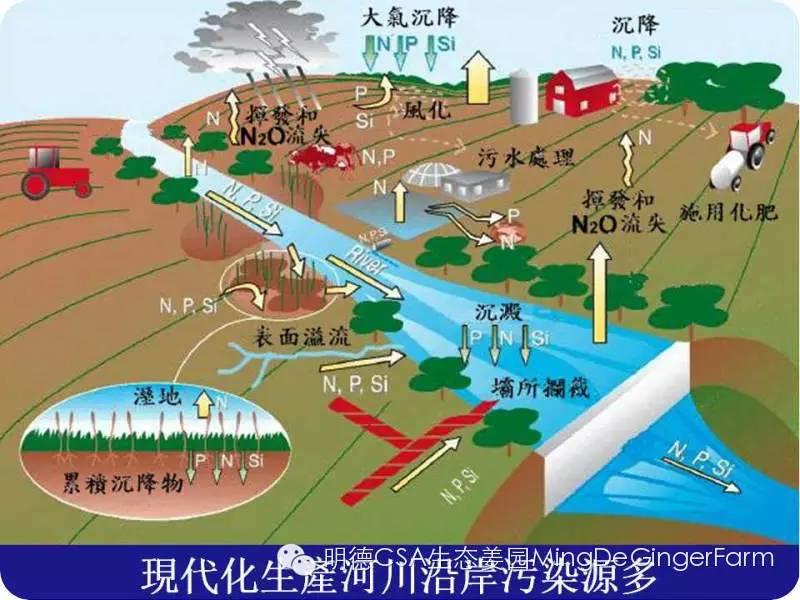 农药、化肥、激素给人类的环境带来巨大的危害！