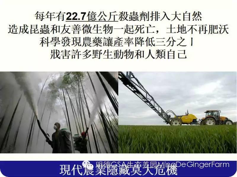 农药、化肥、激素给人类的环境带来巨大的危害！