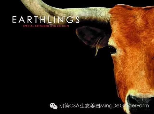 《地球公民 》 Earthlings (2005)-大型公益纪录片-七不姜 生姜养生网-明德CSA生态姜园&明安农业
