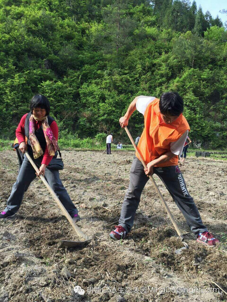 明德CSA生态姜园4月新入股东介绍原始点志愿者 慕胜亮 明德CSA生态姜园4月新入股东介绍原始点志愿者 慕胜亮