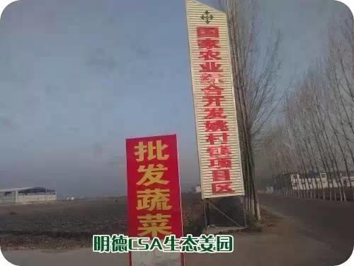 东方圣城 首善之地 至善小黄姜 4月开种活动预报 东方圣城 首善之地 至善小黄姜 4月开种活动预报