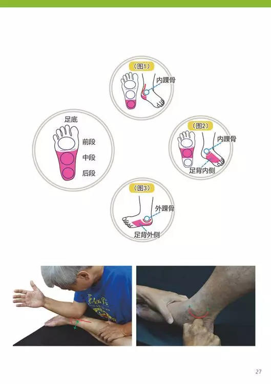 原始点医学手册 电子版(2018年8月第十三版) 原始点医学手册 电子版(2018年8月第十三版)