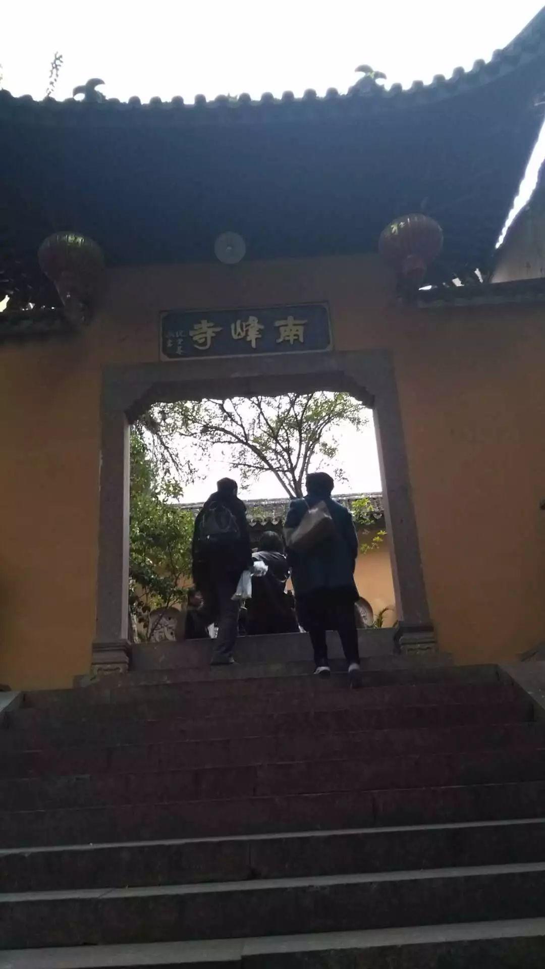 仙居南峰寺·清心素食·明德CSA生态薑园免费供养爱心腊八粥、愛心姜汤，温暖您的心！