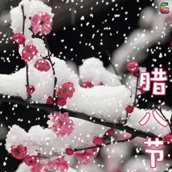 仙居南峰寺·清心素食·明德CSA生态薑园免费供养爱心腊八粥、愛心姜汤，温暖您的心！