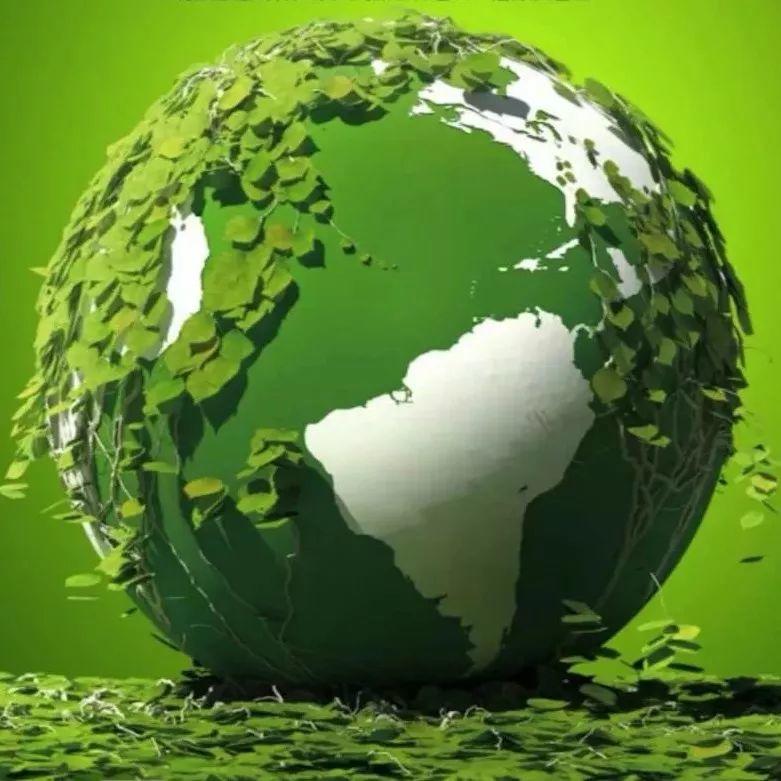 世界蔬醒日!全球111万人蔬食,一起来!-七不姜 生姜养生网-明德CSA生态姜园&明安农业