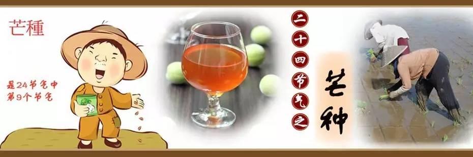 俗语说:芒种食姜,医生不忙。 俗语说:芒种食姜,医生不忙。