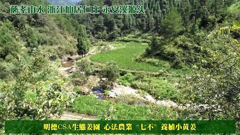 善的热循环 爱的真分享-自然、生态、良心姜品热源免费申请