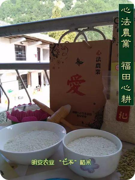 世上第一代心法农业、福田心耕之“七不”生态水稻由明安农业恭献