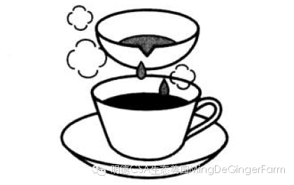 生姜养生法(7)石原式 “生姜红茶”-自然医学养生 生姜养生法(7)石原式 “生姜红茶”-自然医学养生