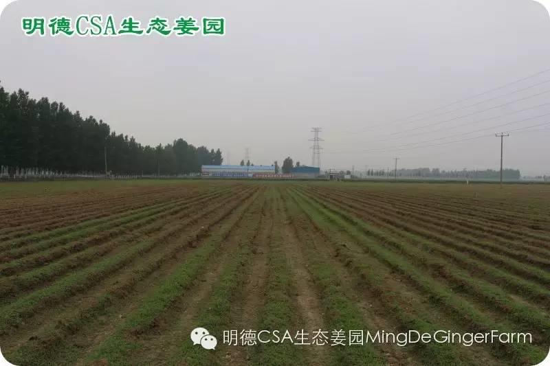 做农业必懂的19个创意流行概念